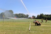 IMG_2895