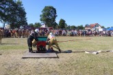 IMG_2983