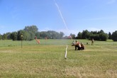 IMG_2892