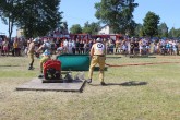 IMG_2937