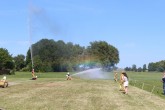 IMG_2993