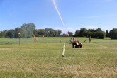 IMG_2891