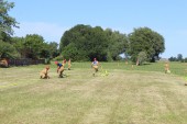 IMG_3065