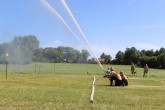 IMG_2896