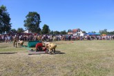 IMG_2961
