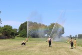 IMG_3039