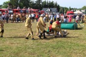 IMG_5329