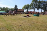 IMG_2842