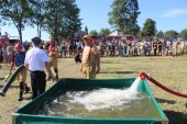 IMG_3043