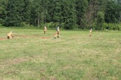 IMG_5285